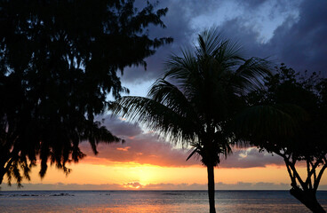 Fototapeta na wymiar Africa,sunset in Mont Choisy in Mauritius