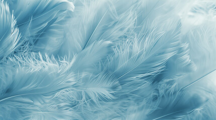 Close-Up of Fluffy Feathers, Delicate Blue Softness, Serene Textured Background