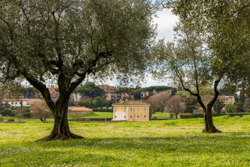 Fototapeta na wymiar Scenic landscape in the Park of the Appian Way in Rome, Italy