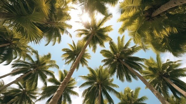 Fruitful coconut trees seen from below against the background of the sky, AI generated