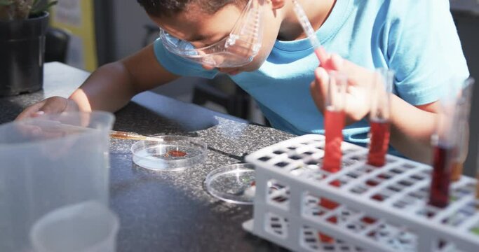 In a school science lab classroom, an Asian student examines a petri dish
