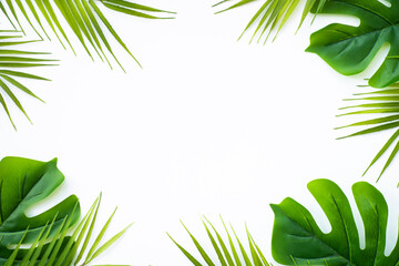Summer flat lay background. Tropical leaves, palm leaves and monstera on white background.