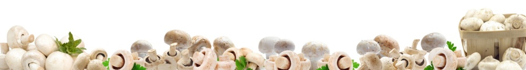Champignons on a white background