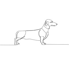 Dachshund short-haired, Teckel, dog breed, companion dog, hunting dog one line art. Continuous line drawing of friend, dog, doggy, friendship, care, pet, animal, family, canine.