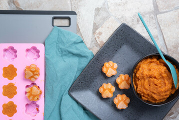 Pumpkin dog treats,  frozen paw print shapes.