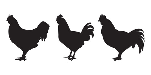 hen chicken silhouette set, set of silhouettes of hen.  chicken vector silhouette 