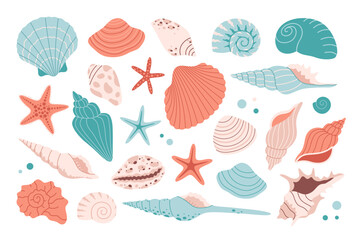 Collection of sea shells, mollusks, starfish, sea ​​snails. Tropical beach shells. Vector illustration in flat style - obrazy, fototapety, plakaty
