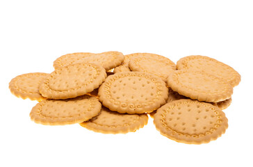 Maria cookies isolated