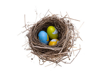bird nest isolated