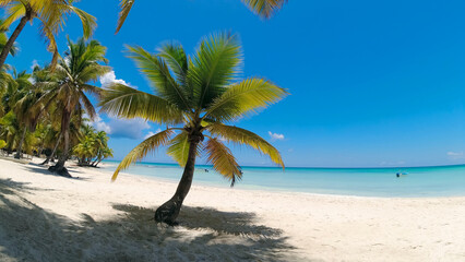 palm beach in dominican republic
