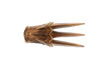 golden medieval glove with blades