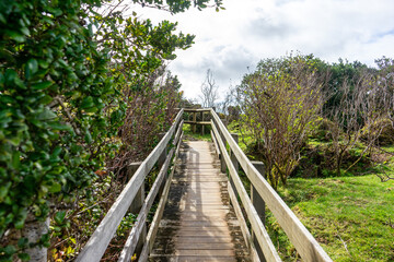 Fototapeta premium Wooden footbridge winding through sulfur fumaroles in Terceira Island's furnas, Azores.