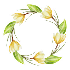 Watercolor frame, wreath, logo, template with bouquet of yellow blooming crocus flowers and leaves isolated on white background. Spring and easter botanical templates, banner. Hand painted saffron