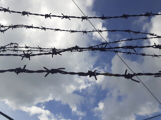 Fototapeta na wymiar barbed wire against blue sky, threat to freedom concept