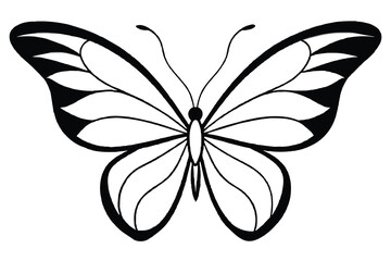 beautiful butterfly line art, vector illustration