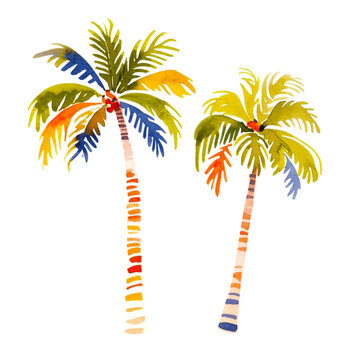 Palm tree. Tropical rainforest leaves, foliage. Coconut Palm. Vintage  Watercolor realistic illustration PNG
