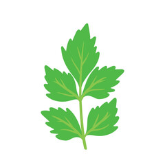 Green Celery Vegetable Cartoon Icon Vector in Handdrawn Doodle Illustration