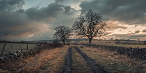 A dirt road running parallel to a dry grass field under a dramatic grey sky