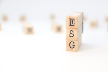 ESG (Environmental, Social and Governance) acronym isolated on white background.