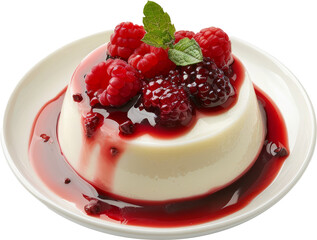 Vanilla panna cotta with red berry coulis and mint , cut out transparent