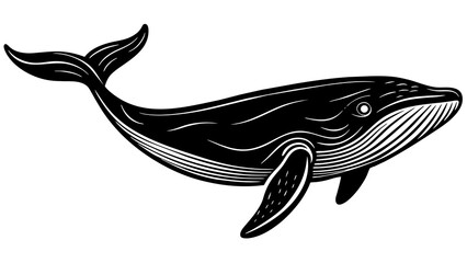 Naklejka premium Discover Stunning Whale Vector Art Dive into Captivating Designs
