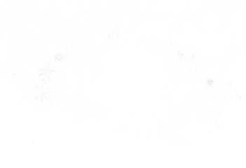 branches fir card Winter Christmas background