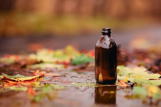 Old stubby beer bottle on a wet Autumn day