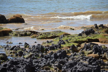 Fototapeta na wymiar Barrier reef on Aracruz beach on the coast of Espirito Santo 