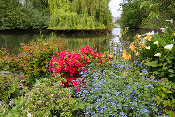 Saint James Park in London with green trees in sunny spring with many flowers by pond river, water landscape.
