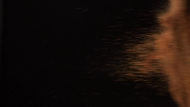 Brown powder floating in the air against black background