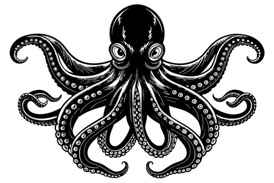 a realistic Octopus silhouette vector art Illustration
