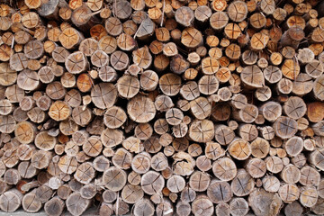 Stack of firewood 3