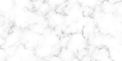 White marble texture and background. black and white marbling surface stone wall tiles and floor tiles texture. vector illustration.