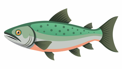 Discover the Finest Salmon Fish Vector Graphics for Your Projects