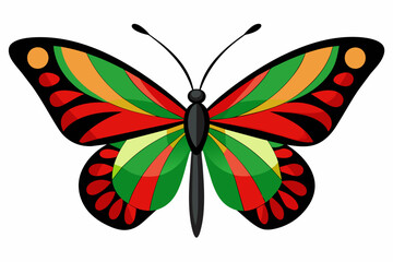 butterfly isolated on white