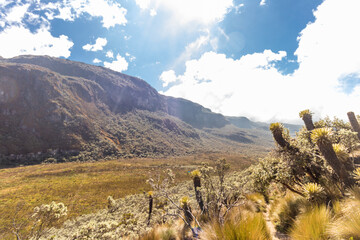 beautiful view of landscape with paramo vegetation surrounded by rock formations and mountains of Los Nevados National Natural Park in Colombia