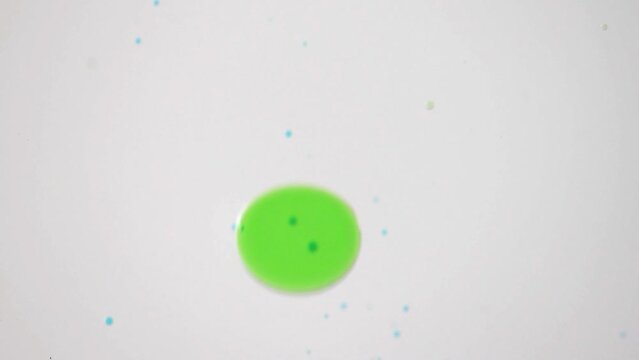 Colorful insoluble liquid floating in water. Bubbles relaxing abstract background.