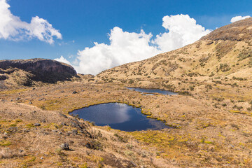 landscape full of paramo with mountains and Laguna Verde in the Los Nevados National Natural Park in Colombia