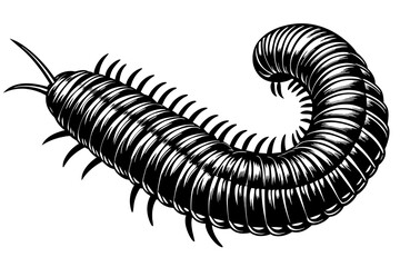 a realistic Millipede silhouette vector art Illustration