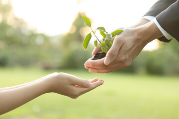 Businessman handing plant or sprout to young boy as eco company committed to corporate social responsible, reduce CO2 emission and embrace ESG principle for sustainable future.Gyre - obrazy, fototapety, plakaty
