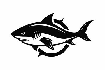 illustration of a shark