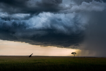 Fototapeta na wymiar clouds over African savannah