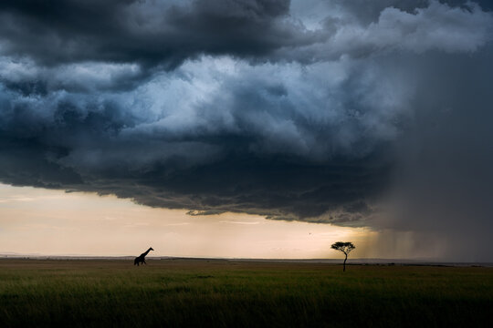 clouds over African savannah