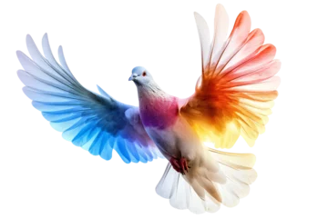 Foto op Canvas A colorful peaceful pigeon, isolated on a transparent background, Generative AI © Art is Magic