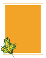Vector illustration frame of mimosa. Frame floral white background. Space for your text.