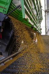 unloading soybeans into the silo
