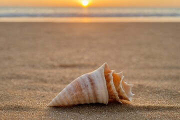 Tropical beach sunset