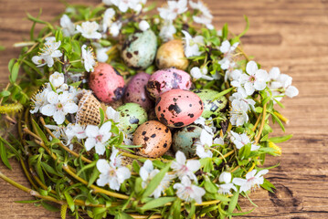Colorful Quail Easter Eggs in nest 