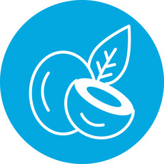 Coconut Line Multi Circle