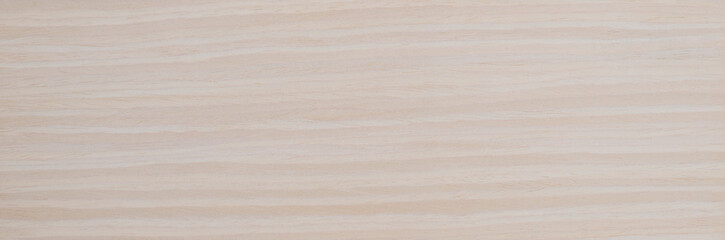 Natural Maple Tree Wood Panel Texture Panorama Pattern
